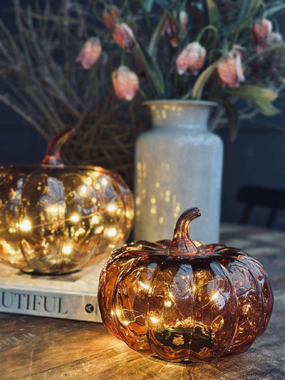 Stor pumpa - Flera färger