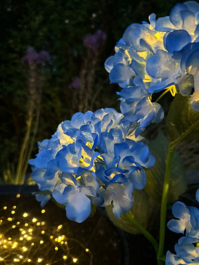 Hortensia med solceller – Blå