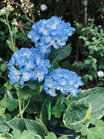 Hortensia med solceller – Blå