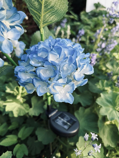 Hortensia med solceller – Blå