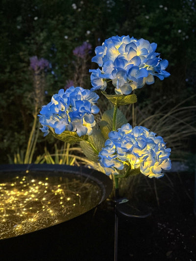 Hortensia med solceller – Blå