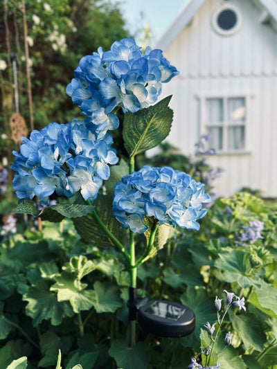 Hortensia med solceller – Blå