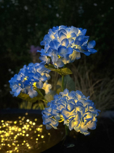 Hortensia med solceller – Blå