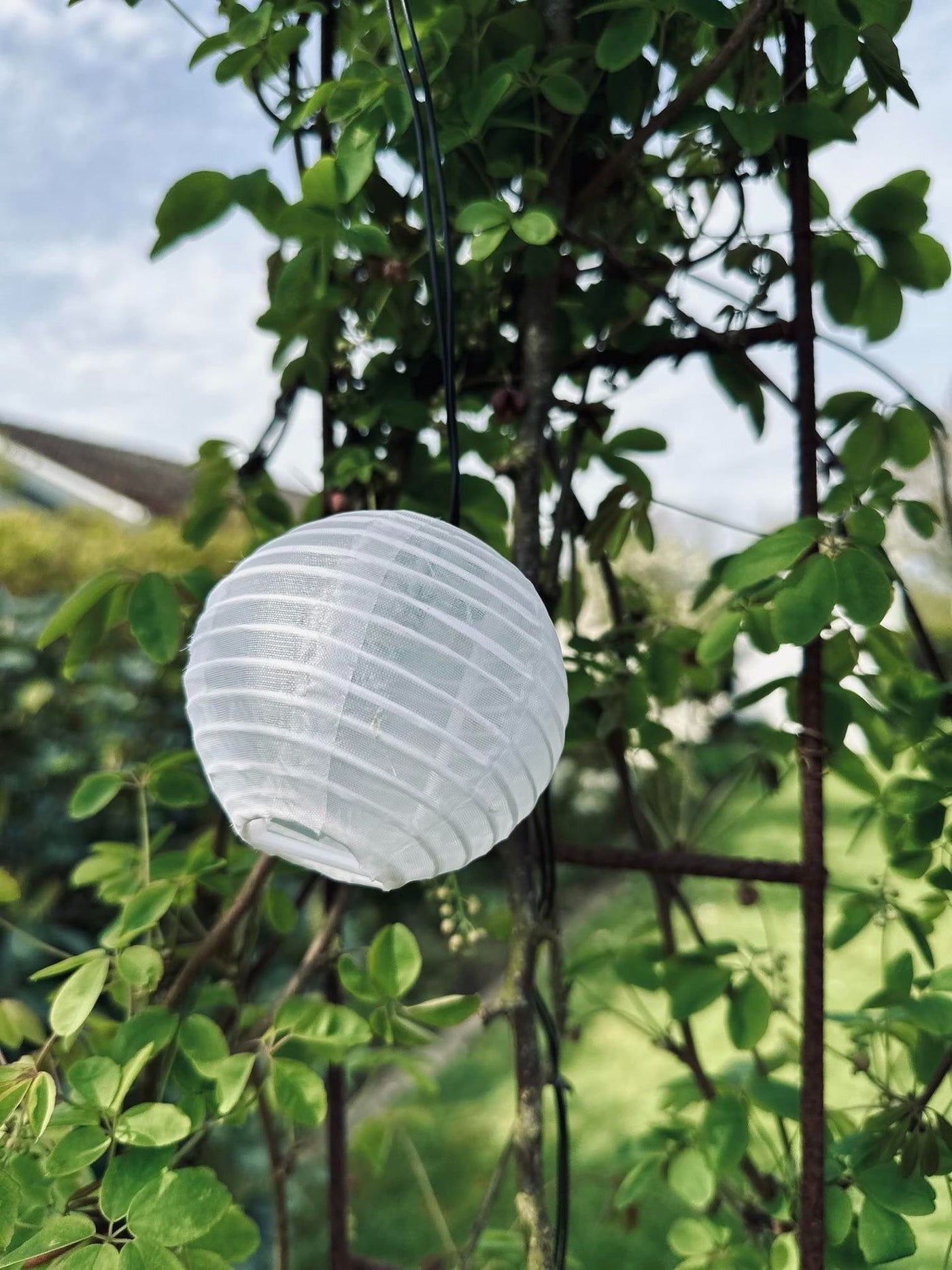 LED solcell ljusslinga, 10 vita bollar