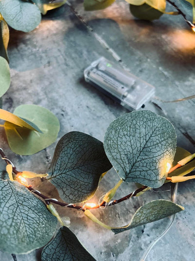 Ljusslinga med eukalyptus